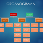ORGANOGRAMA FEBAJU 2020